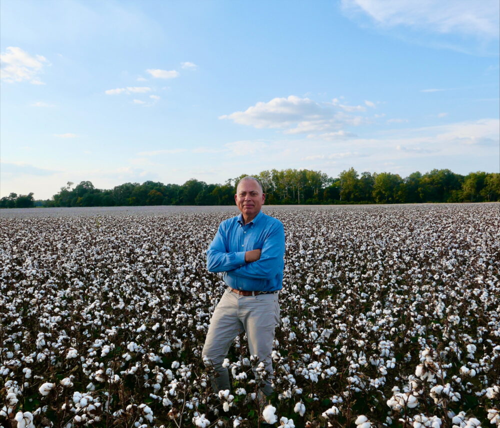 Ralph Eubanks stands in a field of cotton