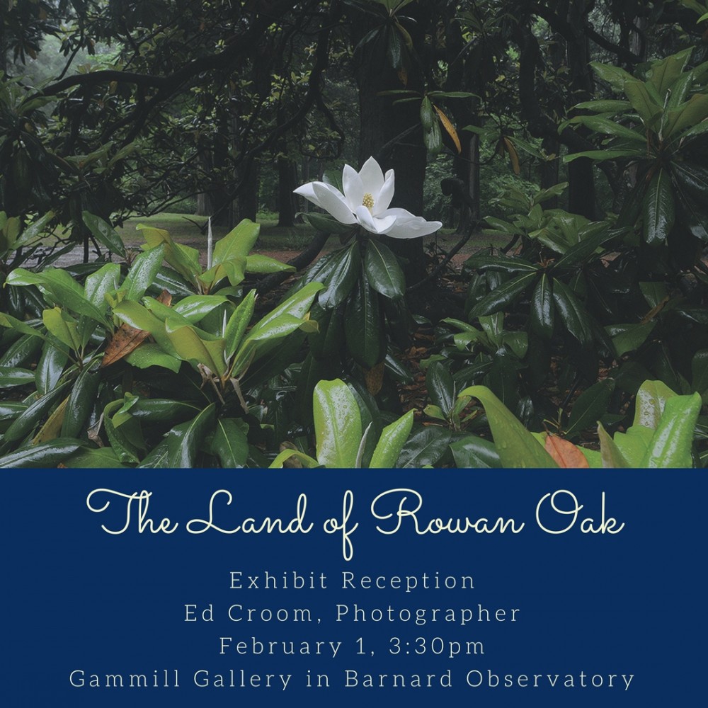 The Land of Rowan Oak