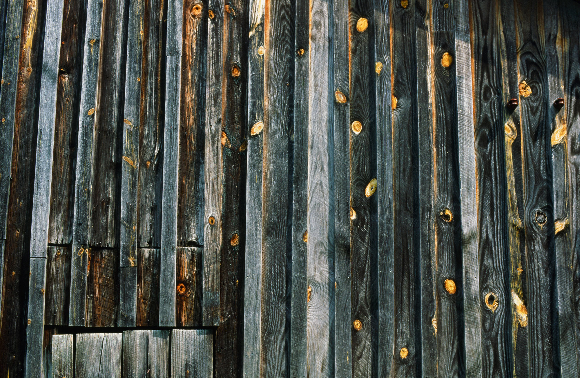 In Baldwin County, Georgia: Pine knots resembling peacock eyespots on the weathered old barn at Andalusia, the farm where Flannery O’Connor lived for most of her writing life.